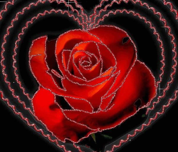 عکس گل قلب شکسته
