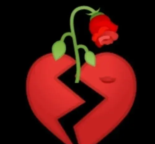عکس گل قلب شکسته
