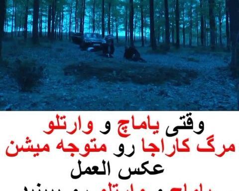 عکس خنده یاماچ