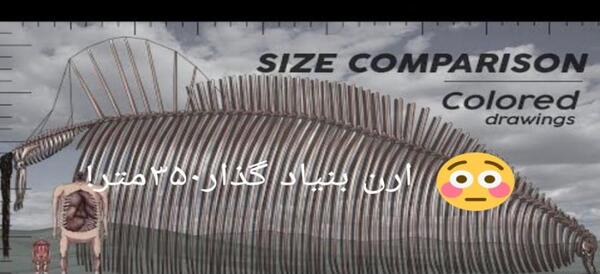 عکس واقعی تایتان غول آسا
