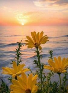 عکس برای تصویر زمینه قفل گوشی