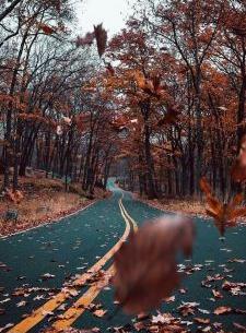 عکس برای تصویر زمینه قفل گوشی