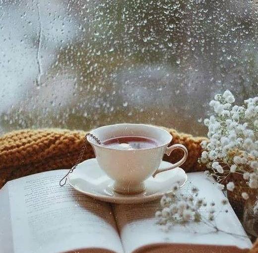 عکس گل در لیوان برای پروفایل
