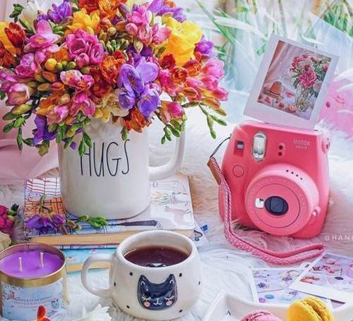 عکس گل در لیوان برای پروفایل