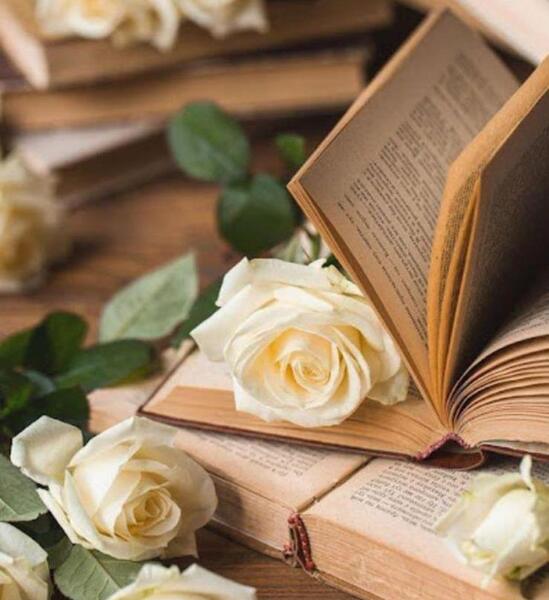 عکس گل در لیوان برای پروفایل