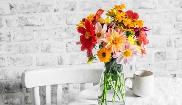 عکس گل در لیوان برای پروفایل