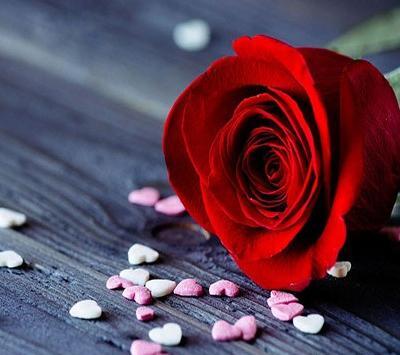 عکس عکس گل برای پروفایل