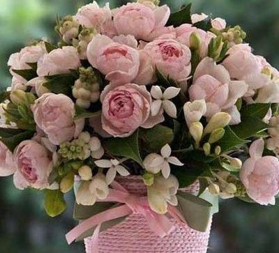 عکس گلدان گل برای پروفایل