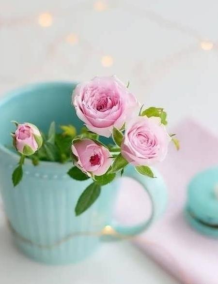 عکس گلدان گل برای پروفایل