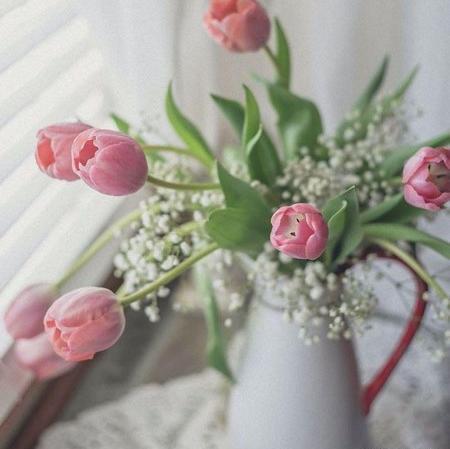 عکس گلدان گل برای پروفایل
