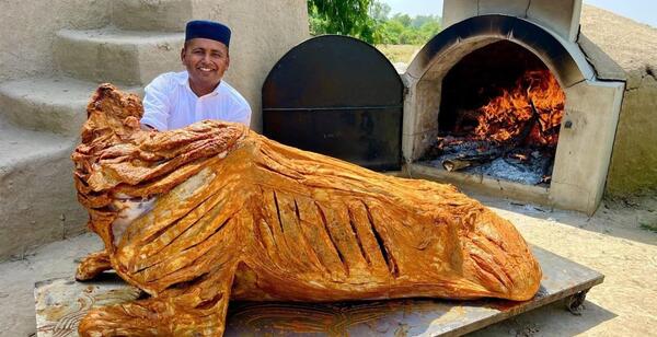 عکس گاو آدم