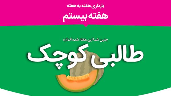 عکس واقعی جنین 20 هفته دختر