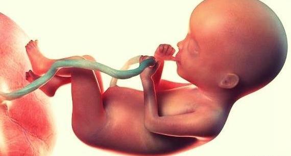 عکس واقعی جنین 20 هفته دختر