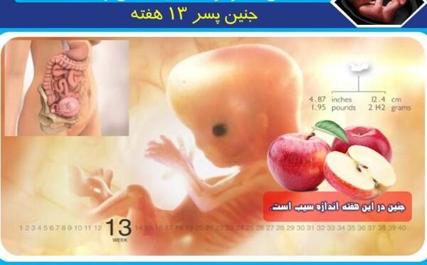 عکس واقعی جنین 20 هفته دختر