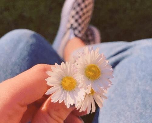 عکس گل پروفایل جدید