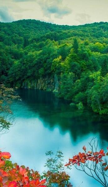 عکس برای تصویر زمینه گوشی طبیعت