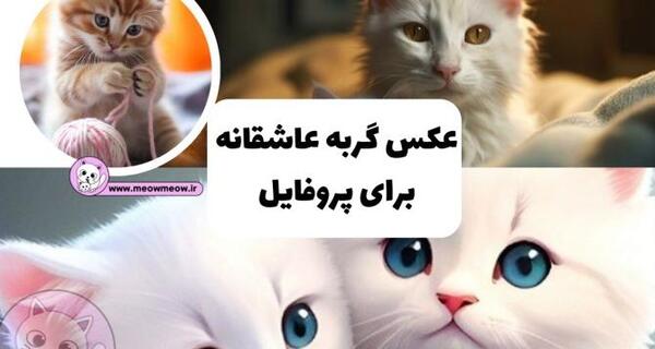 عکس پروفایل دخترونه خفن گربه
