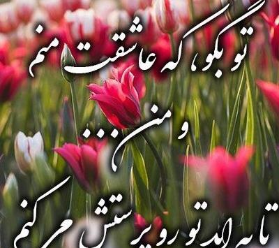 عکس گل برای پروفایل با متن