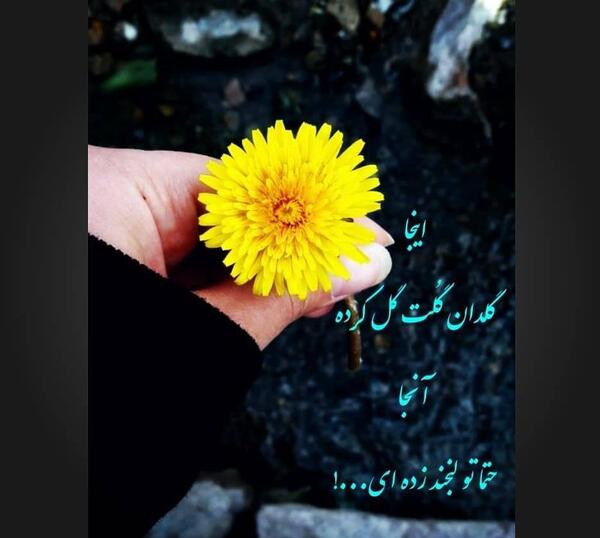 عکس گل برای پروفایل با متن