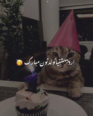 عکس کیک تولد دخترانه اردیبهشتی