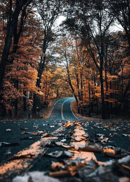 عکس زیبا برای تصویر زمینه ی گوشی