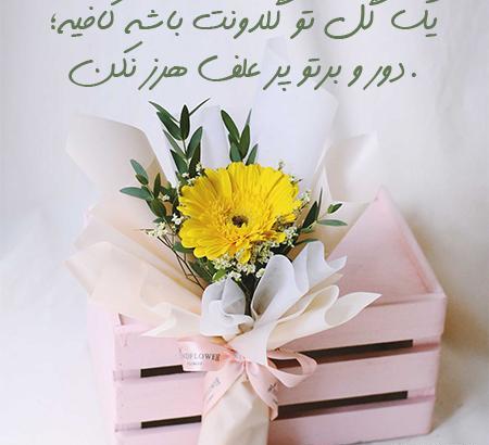 عکس گل برای پروفایل نوشته