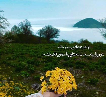 عکس گل برای پروفایل نوشته