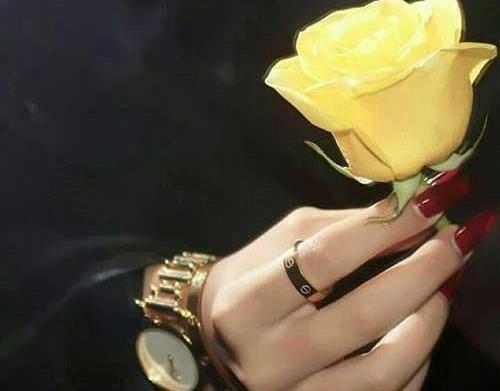 عکس گل خاردار برای پروفایل
