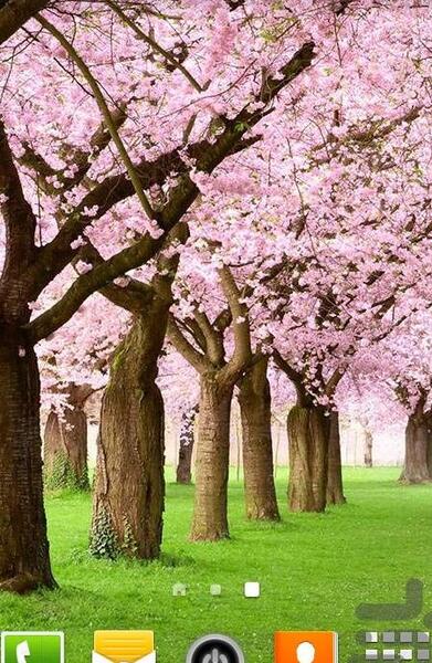 عکس تصویر زمینه گوشی بهار
