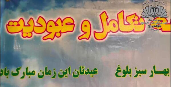 عکس داخل ماشین تویوتا خرگوشی