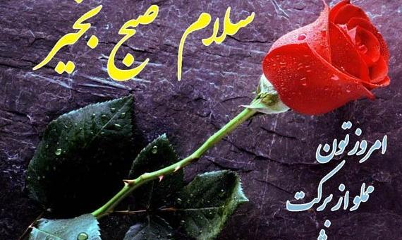 عکس تویوتا خرگوشی قدیمی