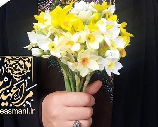عکس گل برای پروفایل نرگس