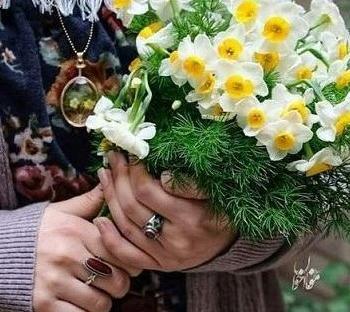 عکس گل برای پروفایل نرگس