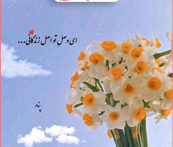 عکس گل طلایی برای پروفایل