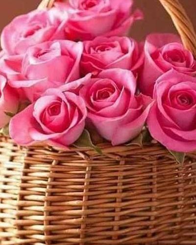 عکس گل عزا برای پروفایل