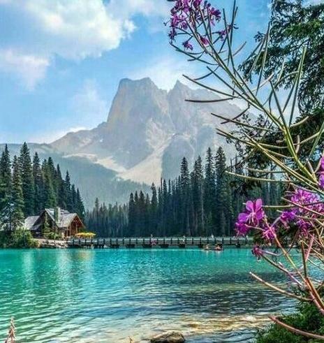 عکس پروفایل دخترونه شاد طبیعی