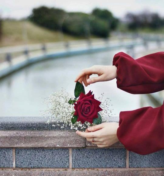 عکس سبد گل زیبا برای پروفایل