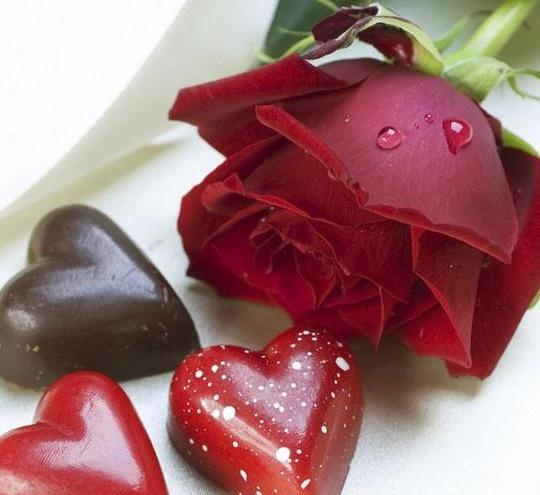 چند تا عکس گل برای پروفایل