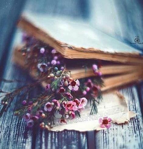 چند تا عکس گل برای پروفایل