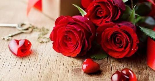 چند تا عکس گل برای پروفایل