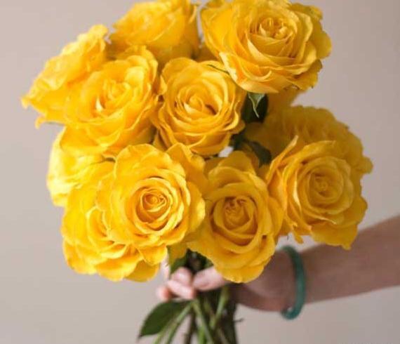 چند تا عکس گل برای پروفایل