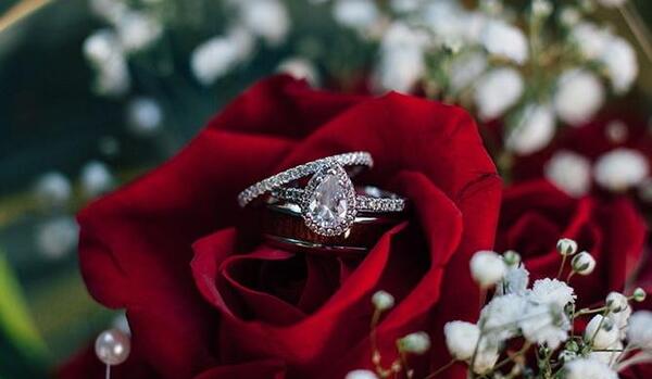 عکس حلقه گل برای پروفایل