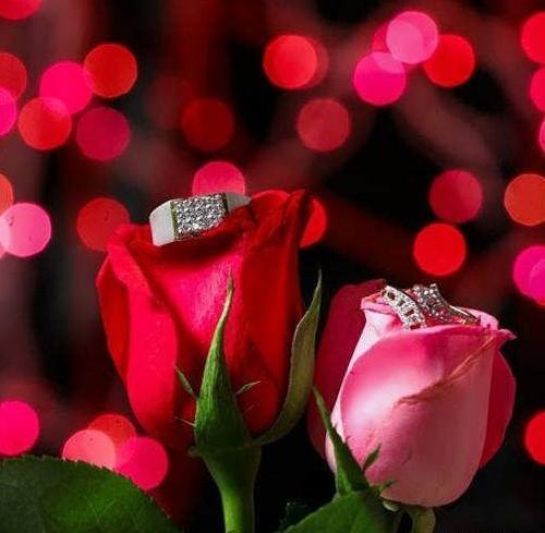 عکس حلقه گل برای پروفایل