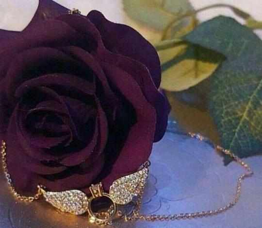 عکس حلقه گل برای پروفایل