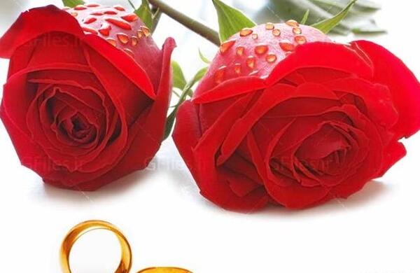 عکس حلقه گل برای پروفایل