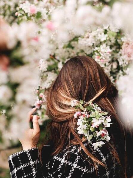 عکس گل های بهاری برای پروفایل