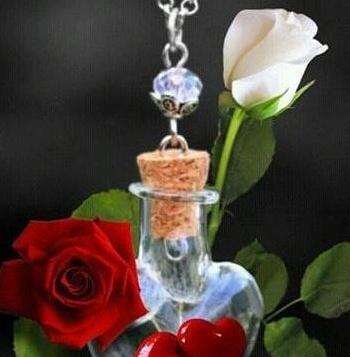 فانتزی عکس گل برای پروفایل واتساپ