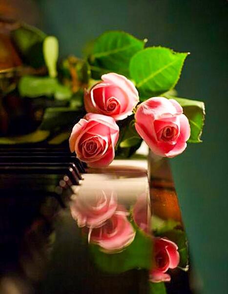 عکس گل بهاری برای پروفایل