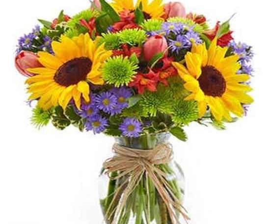 عکس گل بهاری برای پروفایل