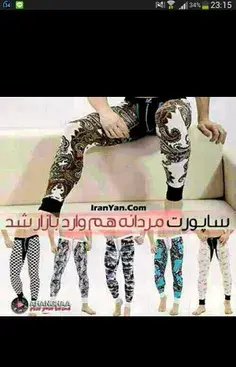 عکس گاوصندوق پول